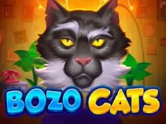 Bozo Cats